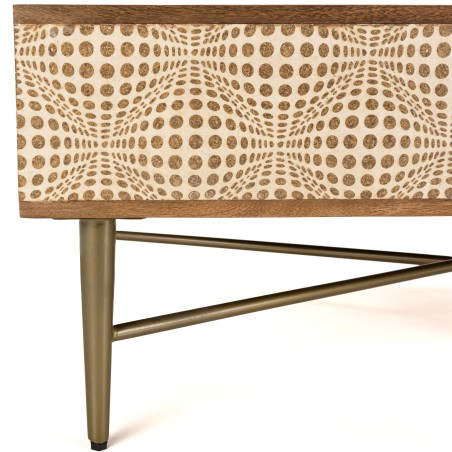 ALIX - Rectangular Mango Wood Coffee Table with 2 Niches