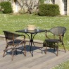 VIANNEY 2-Person Steel Garden Furniture Set - Trendy Bistro Style