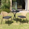 MALO - Set of 2 Natural-Coloured Rattan Chairs