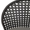 MALO - Set of 2 Black Rattan Chairs | Outdoor Furniture