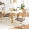LEA Set of 2 Chairs - Taupe Fabric & Cane Backrest