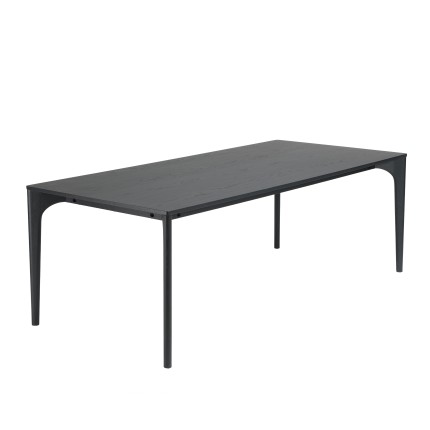 MAXENCE Rectangular Dining Table 220x100cm Black with Oak Legs