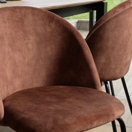 Lot 2 chaises velours acajou dossier arrondi