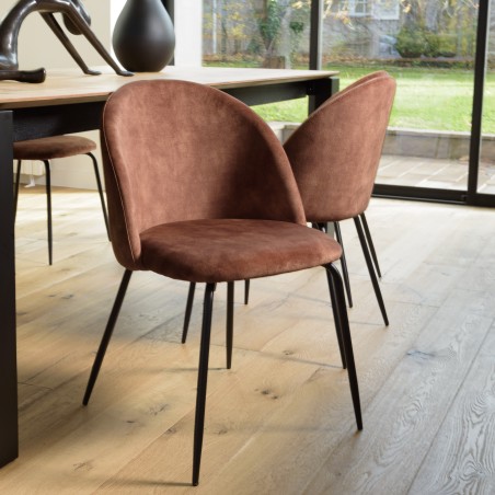 Lot 2 chaises velours acajou dossier arrondi