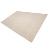 Tapis rectangulaire QUENTIN en laine tissée beige 160x230cm