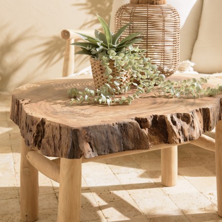 Table basse WILL en branches de teck - Ambiance naturelle et chaleureuse