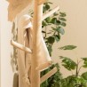 WILL Multi-Branch Coat Rack in Natural Teak - Organize Coats & Accessories