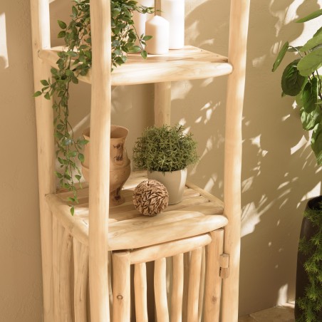WILL - 2-tier Shelf with 1 Door in Natural Teak Branches