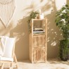 WILL 1-Tier Shelf with 2 Doors - Natural Teak Branches