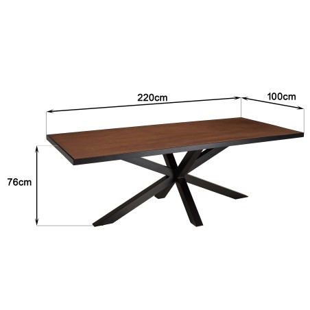 Table à manger BASILE 220x100 couleur rouille
