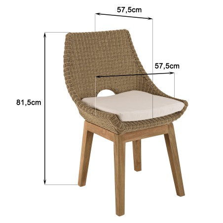 Lot 2 chaises jardin rotin synthétique KALLY