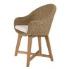 Lot 2 fauteuils jardin rotin synthétique et coussin