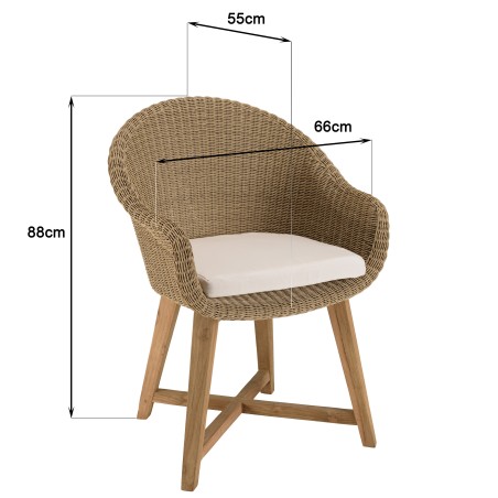 Lot 2 fauteuils jardin rotin synthétique et coussin