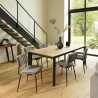 Lot 2 chaises velours gris foncé AGATHE