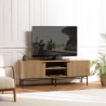 Meuble TV SCOTT 2 portes 2 niches