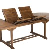 MAEVA - Table ovale double extension 200/300*120 en bois Teck huilé