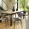 Lot 2 chaises velours gris foncé | SECONDE MAIN