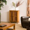 API Brown Cabinet with 2 Louvered Doors in Teak Wood