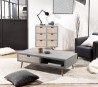 Lorenzo Gray Coffee Table with 1 Niche 2 Beige Drawers