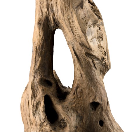 CLARA - Objet décoration bois teck naturel