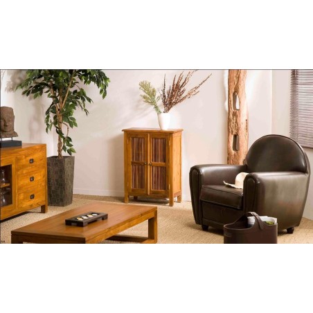 API Brown Cabinet with 2 Louvered Doors in Teak Wood