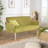 AGATHE Light Green Velvet 2-Seater Sofa - Wooden Legs & Armrests