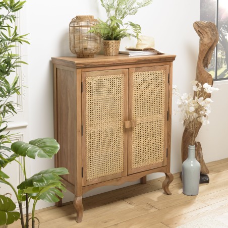 ISA Vintage Brown 2-Door Cabinet - Jamelonier Wood and Rattan