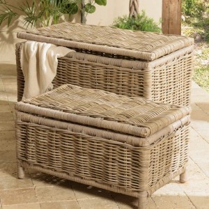 Storage Trunks